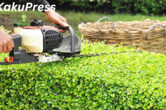 Trimming