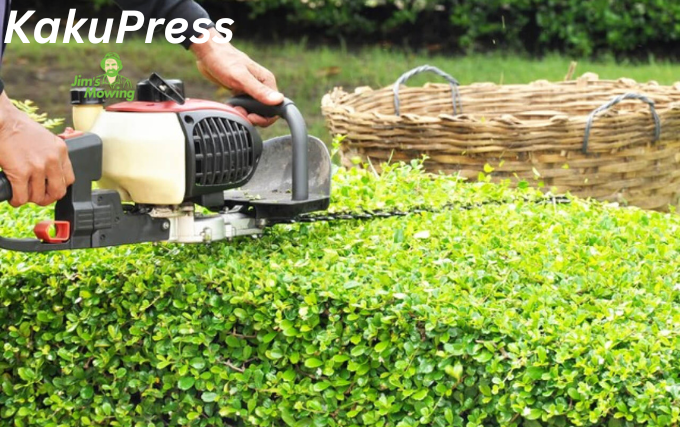 Trimming